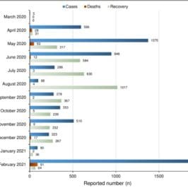 COVID-19 in Somalia: Adherence to Preventive Measures and Evolution of the Disease Burden